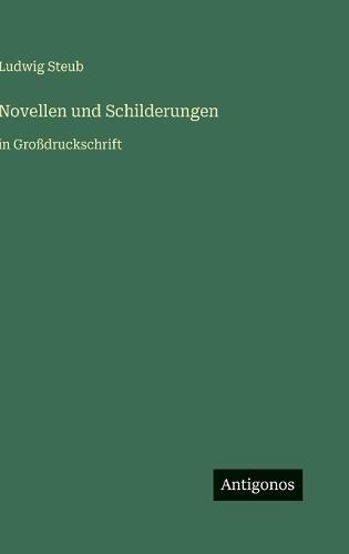 Novellen und Schilderungen: in Großdruckschrift