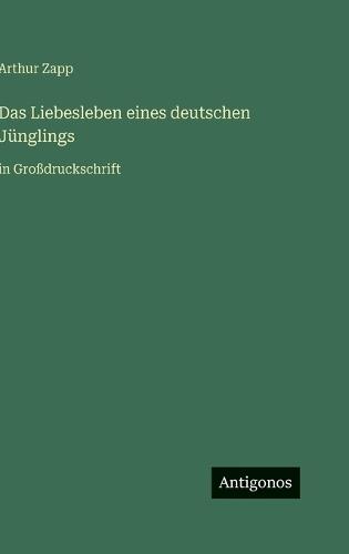 Das Liebesleben eines deutschen Jünglings: in Großdruckschrift