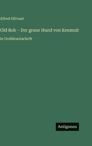 Old Bob - Der graue Hund von Kenmuir: in Großdruckschrift