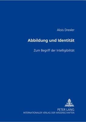 Abbildung Und Identitaet: Zum Begriff Der Intelligibilitaet