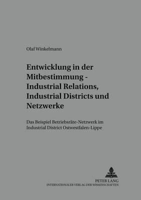 Entwicklung in der Mitbestimmung – Industrial Relations, Industrial Districts und Netzwerke: Das Beispiel ""Betriebsraete-Netzwerk"" im Industrial District Ostwestfalen-Lippe