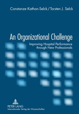An Organizational Challenge: Improving Hospital Performance through New Professionals