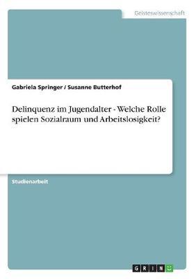 Delinquenz Im Jugendalter - Welche Rolle Spielen Sozialraum Und Arbeitslosigkeit?