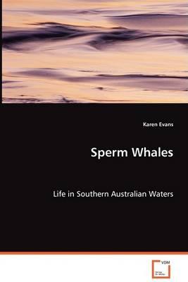 Sperm Whales - Life in Southern Australian Waters