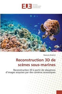 Reconstruction 3D de Scenes Sous-Marines