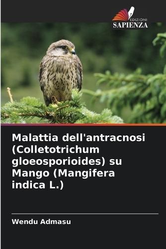 Malattia dell'antracnosi (Colletotrichum gloeosporioides) su Mango (Mangifera indica L.)