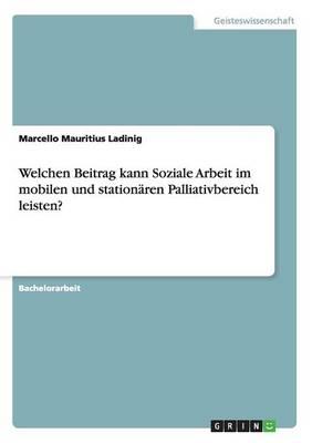 Welchen Beitrag kann Soziale Arbeit im mobilen und stationaren Palliativbereich leisten?