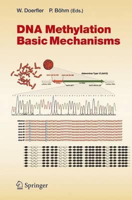 DNA Methylation: Basic Mechanisms