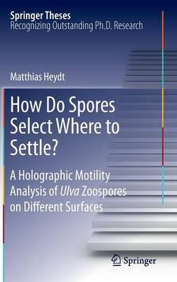 How Do Spores Select Where to Settle?: A Holographic Motility Analysis of Ulva Zoospores on Different Surfaces