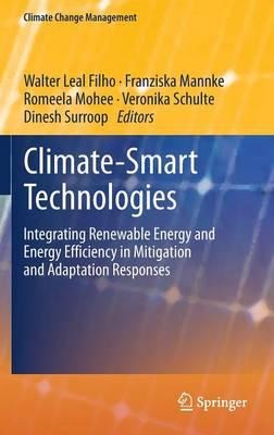 Climate-Smart Technologies: Integrating Renewable Energy and Energy Efficiency in Mitigation and Adaptation Responses