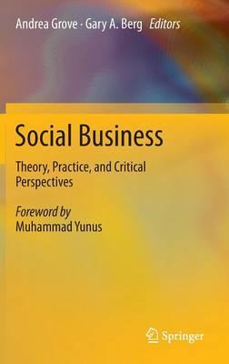 Social Business: Theory, Practice, and Critical Perspectives