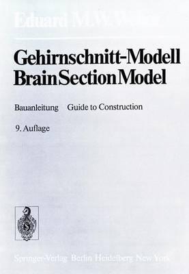 Gehirnschnitt-Modell / Brain Section Model: Bauanleitung / Guide to Construction