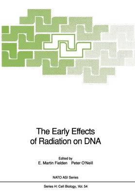 The Early Effects of Radiation on DNA