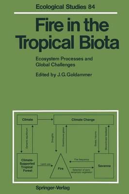 Fire in the Tropical Biota: Ecosystem Processes and Global Challenges