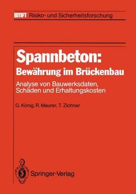 Spannbeton: Bewährung im Brückenbau: Analyse von Bauwerksdaten, Schäden und Erhaltungskosten