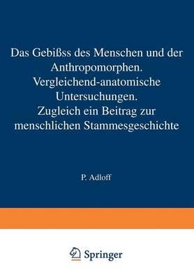 Das Gebiss des Menschen und der Anthropomorphen. Vergleichend-anatomische Untersuchungen: Zugleich ein Beitrag zur menschlichen Stammesgeschichte