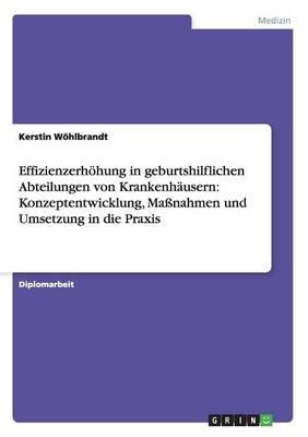 Effizienzerhöhung in geburtshilflichen Abteilungen von Krankenhäusern: Konzeptentwicklung, Maßnahmen und Umsetzung in die Praxis