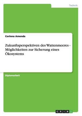 Zukunftsperspektiven des Wattenmeeres - Moeglichkeiten zur Sicherung eines OEkosystems