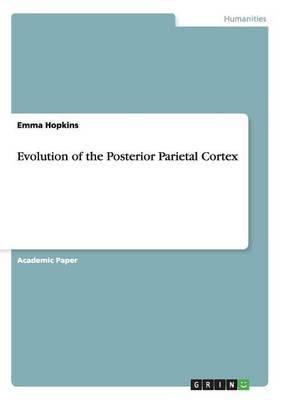 Evolution of the Posterior Parietal Cortex