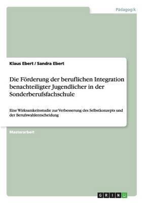 Die Foerderung der beruflichen Integration benachteiligter Jugendlicher in der Sonderberufsfachschule: Eine Wirksamkeitsstudie zur Verbesserung des Selbstkonzepts und der Berufswahlentscheidung