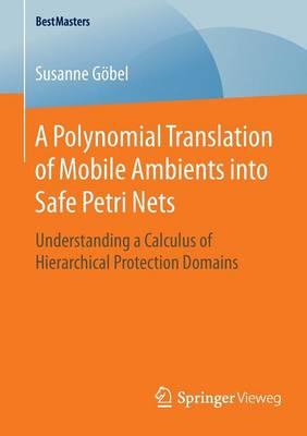 A Polynomial Translation of Mobile Ambients into Safe Petri Nets: Understanding a Calculus of Hierarchical Protection Domains