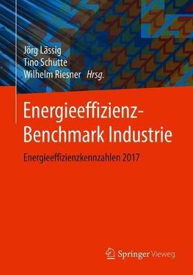 Energieeffizienz-Benchmark Industrie: Energieeffizienzkennzahlen 2017