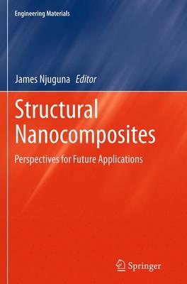 Structural Nanocomposites: Perspectives for Future Applications
