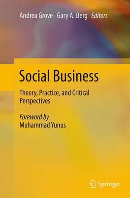 Social Business: Theory, Practice, and Critical Perspectives