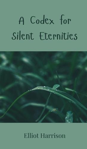 A Codex for Silent Eternities