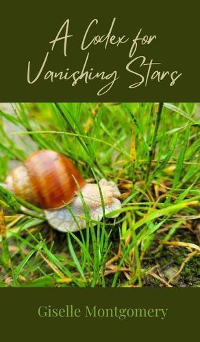 A Codex for Vanishing Stars