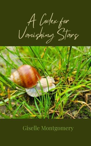 A Codex for Vanishing Stars