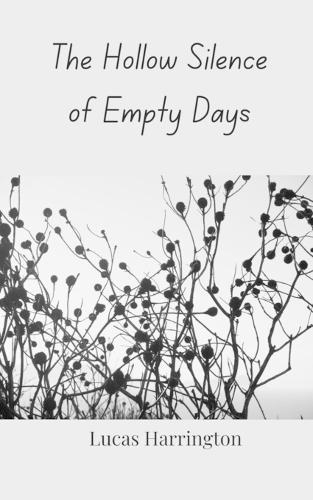 The Hollow Silence of Empty Days