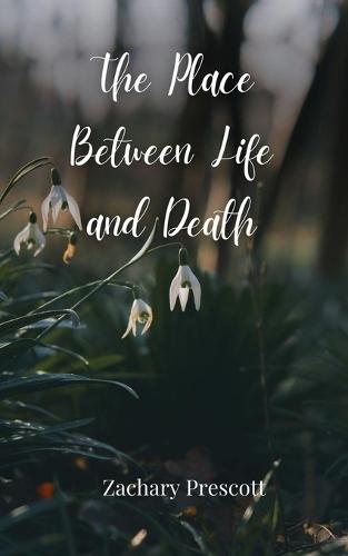 The Place Between Life and Death