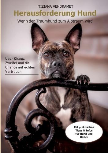 Herausforderung Hund: Wenn der Traumhund zum Albtraum wird