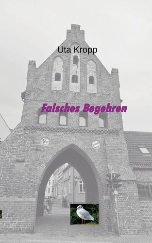 Falsches Begehren