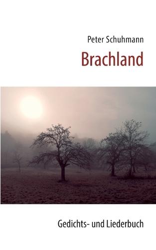 Brachland: Gedichts- und Liederbuch