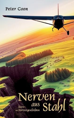 Nerven aus Stahl: Zehn Kurz- und drei Kürzestgeschichten