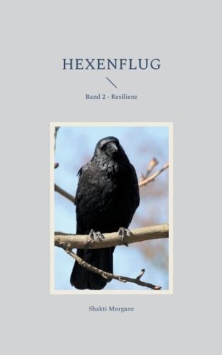 Hexenflug: Band 2 - Resilienz