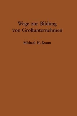 Wege Zur Bildung Von Grossunternehmen