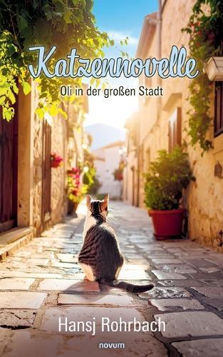 Katzennovelle: Oli in der großen Stadt