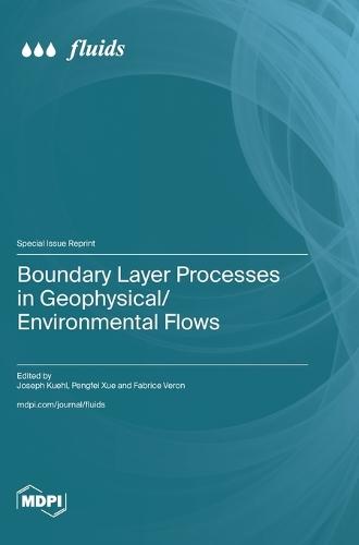 Boundary Layer Processes in Geophysical/Environmental Flows