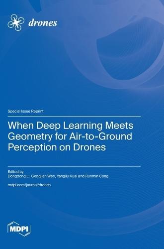When Deep Learning Meets Geometry for Air-to-Ground Perception on Drones