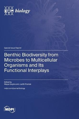 Benthic Biodiversity from Microbes to Multicellular Organisms and Its Functional Interplays