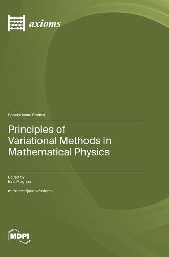 Principles of Variational Methods in Mathematical Physics