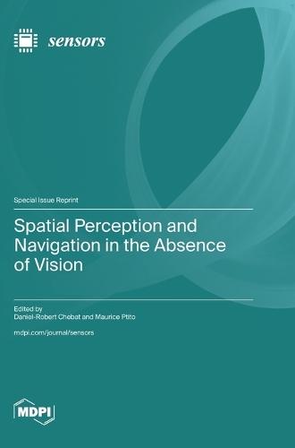 Spatial Perception and Navigation in the Absence of Vision