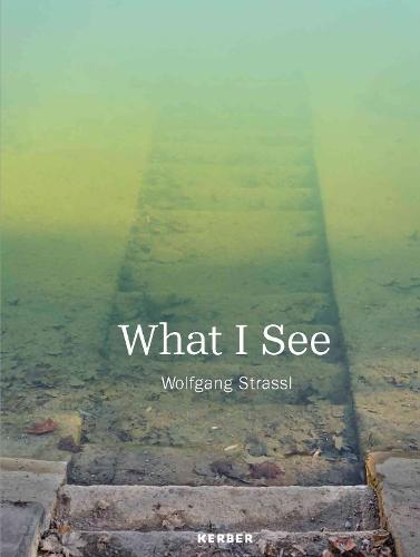 What I See: Wolfgang Strassl