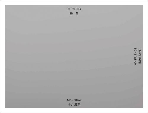 Xu Yong: 18% GRAY / MY FRIENDS