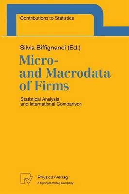 Micro- and Macrodata of Firms: Statistical Analysis and International Comparison
