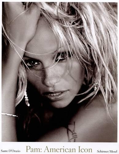 Pam: American Icon