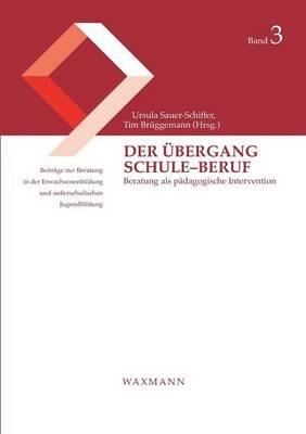 Der Übergang Schule-Beruf: Beratung als pädagogische Intervention
